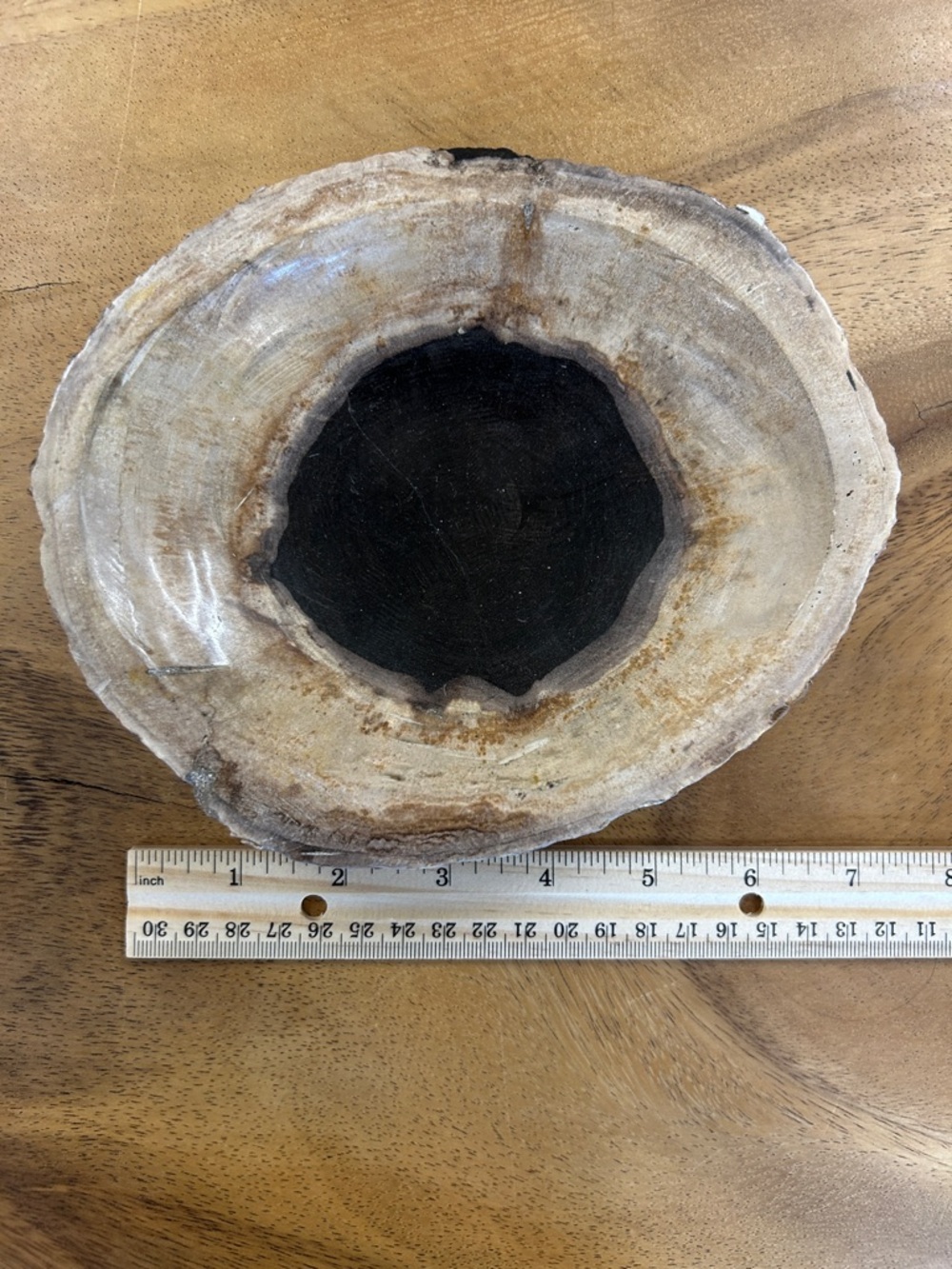Petrified Wood Decorative Bowl - Picture 8 of 17